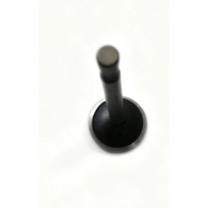 For Honda GX160 GX200 168F EC2500CX EG2500X WP30XH Engines, Intake and Exhaust Valves