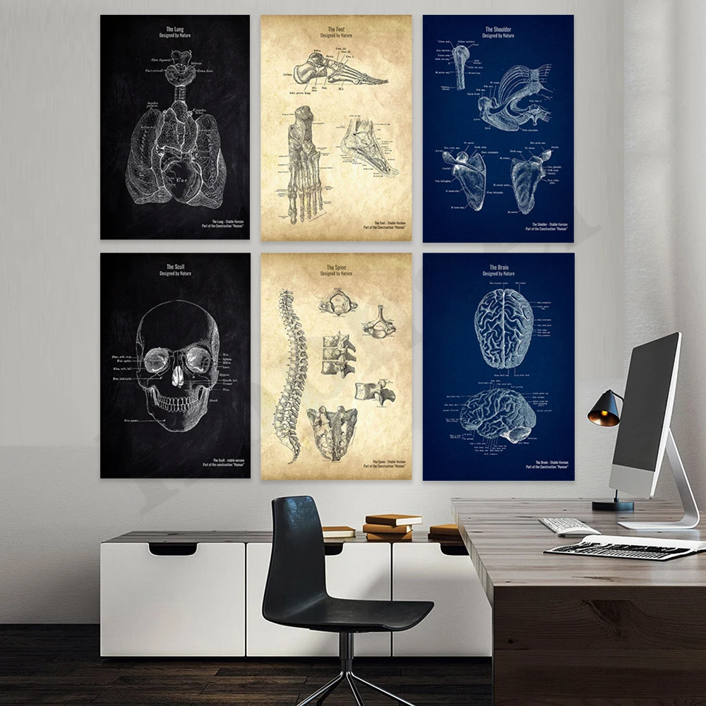Spine Shoulder Heart Brain Feet Lungs. Human Anatomy. Hospital Wall Art Deco Poster