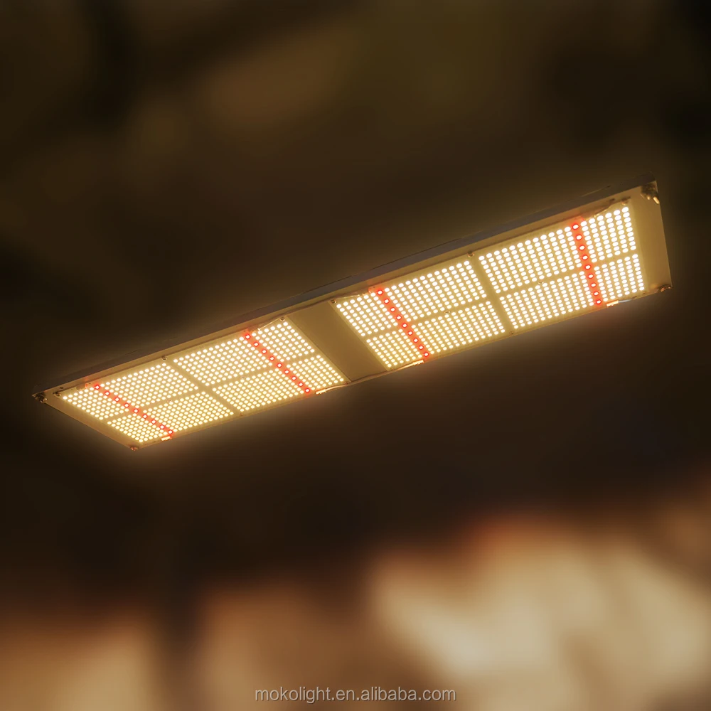 

Shenzhen Factory Customized 240W 400W 600W 800W LED Board Lm301B Lm301H Led Grow Light with UV IR LEDs