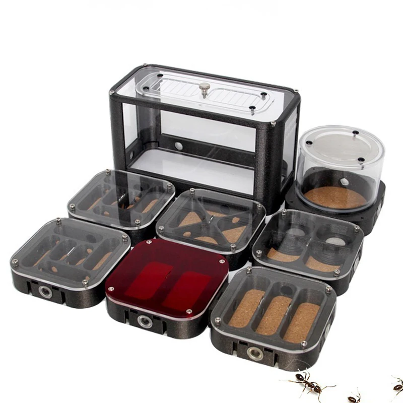 Pet Ant Castle 3D Printing Ant Nest Eco Box Feeding Box Native Harvest Ant Bowback Ant Desktop Ant DIY Space Station