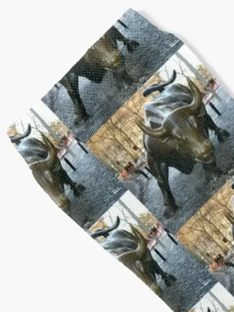 The Wall Street Bull Socks designer Stockings Argentina moving stockings Mens Socks Women's