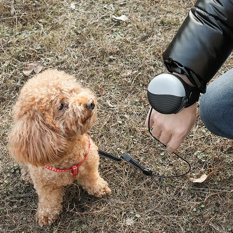 

Wrist Pet Rope Handsfree Pet Dog Traction Rope Suitable for Small and Medium Dogs Automatic Retractable Leash Pet Supplies