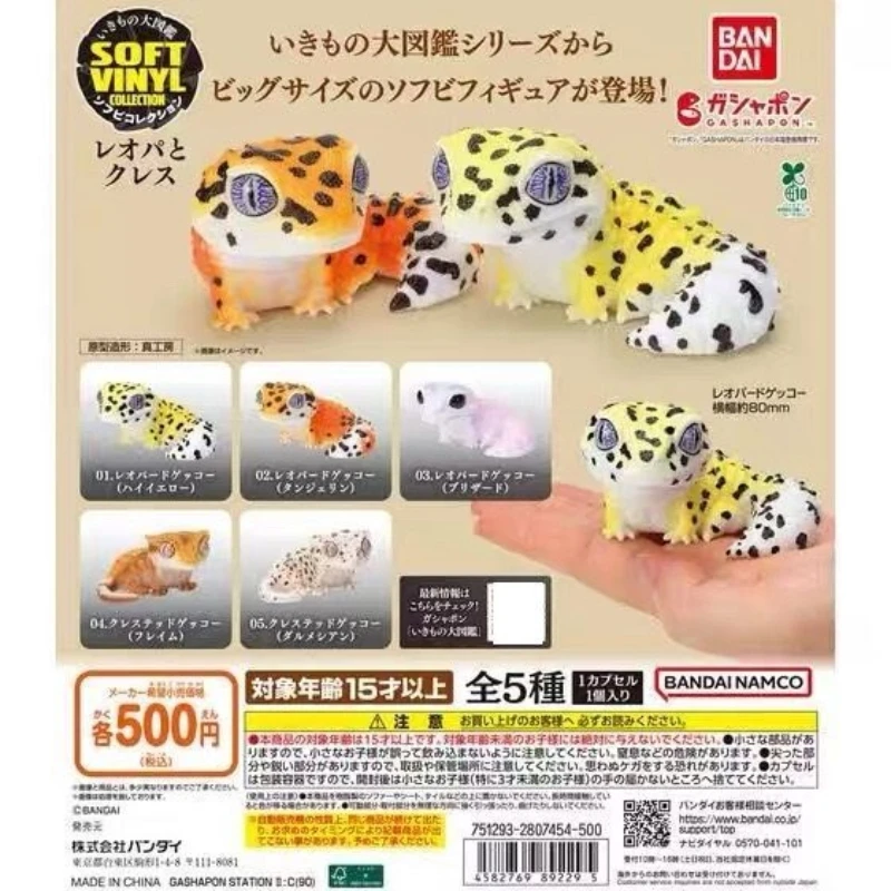 في الأوراق المالية! موسوعة بانداي البيولوجية الأصلية غاشابون – لعبة نموذج حيوانات واقعية من الفينيل الناعم ذو الذيل الدهون والمستقرة