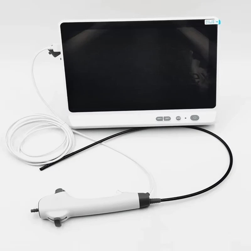 A high definition disposable flexible endoscope for medical and veterinary urology with high definition imaging