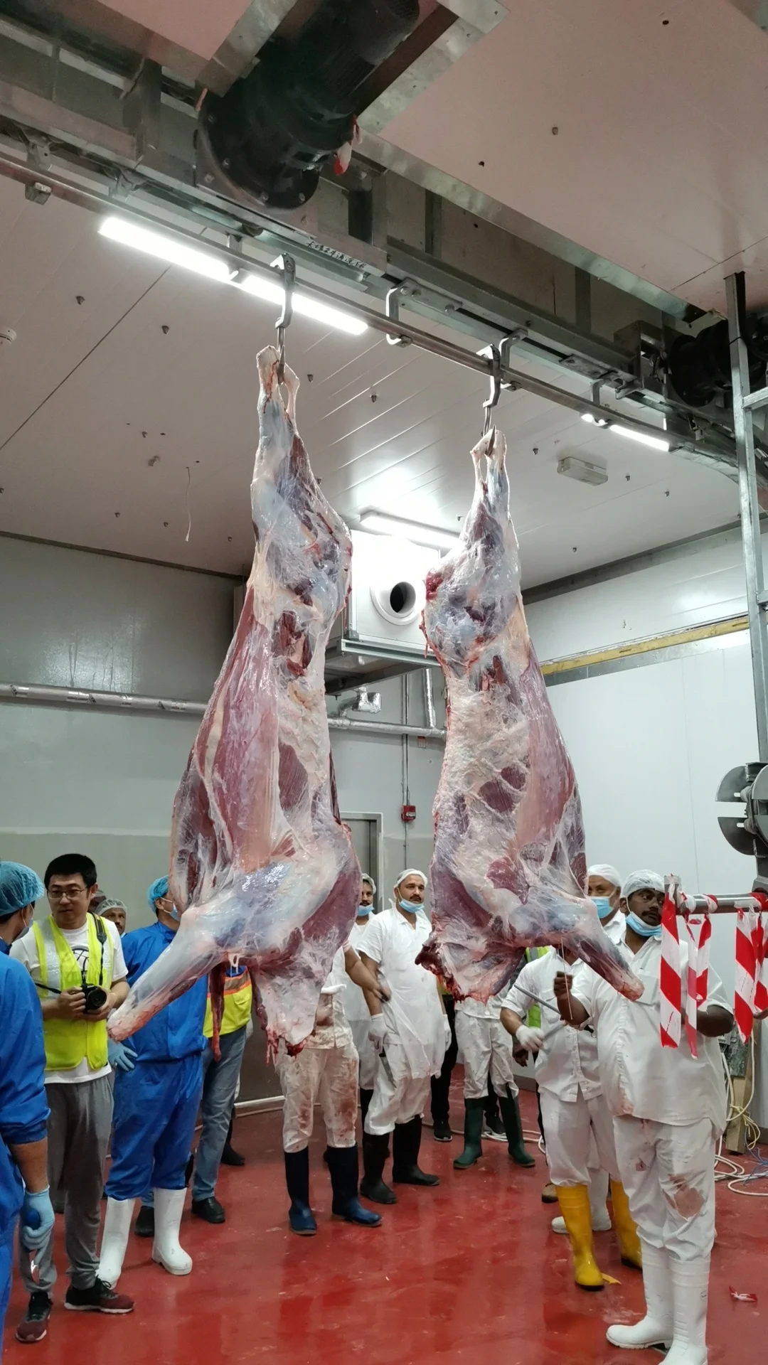 FOODLINE Pig Cattle Sheep Slaughter Line Adjustable Speed Livestock Processing Machinery For Different Scale Abattoir Plant