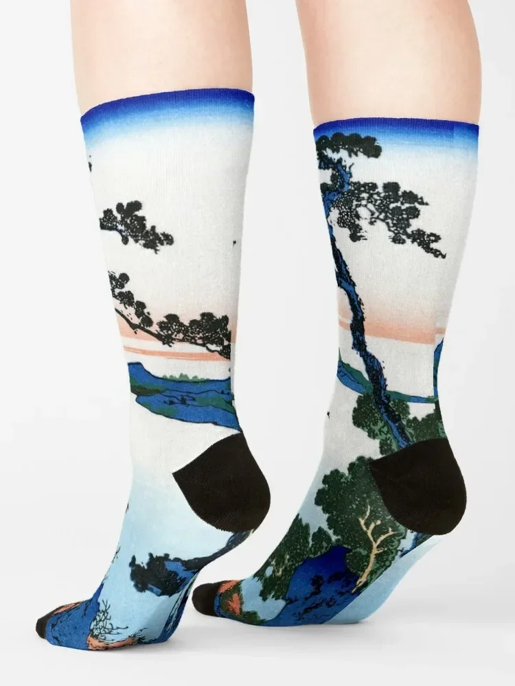 Chaussettes de football coordonnantes pour hommes et femmes, Katsburg, Hokusai, Lac Suwa dans la province de Kendano, Chaussettes Kawaii pour enfants