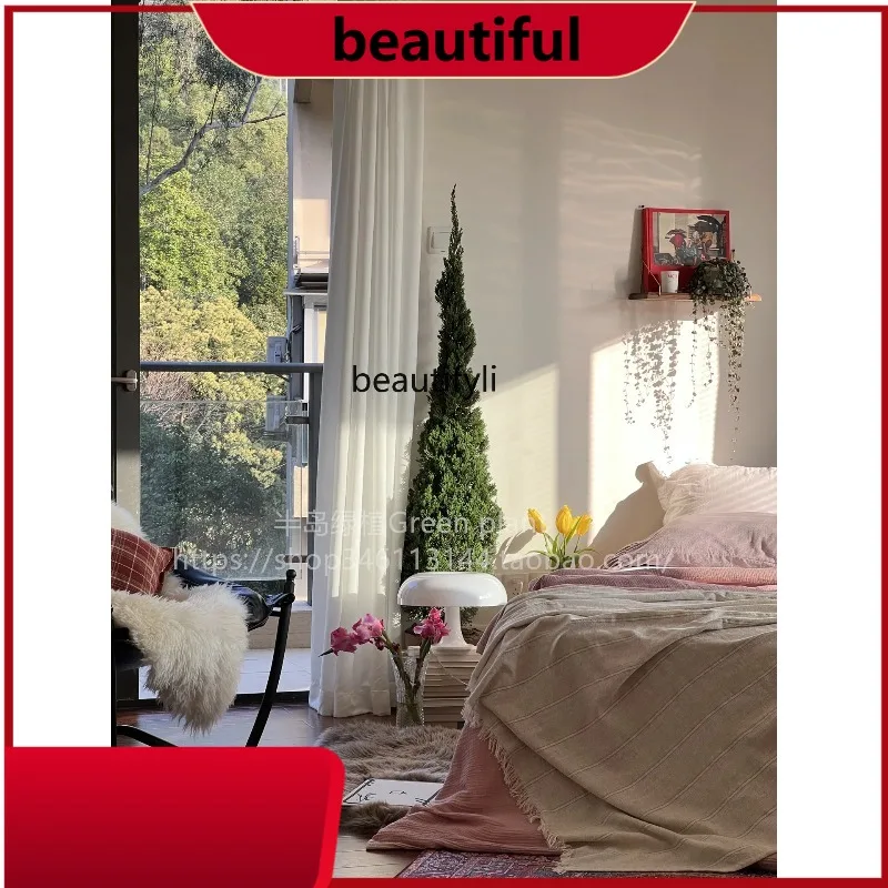 

Dragon cypress potted Christmas tree indoor living room plants outdoor courtyard cypress green plants H