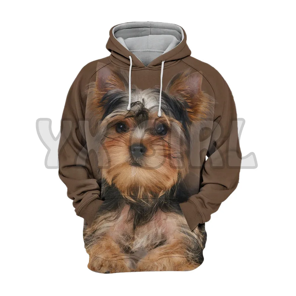 

Animals Dogs Yorkshire Terrier Yorkie 3D Printed Hoodies Unisex Pullovers Funny Dog Hoodie Casual Street Tracksuit