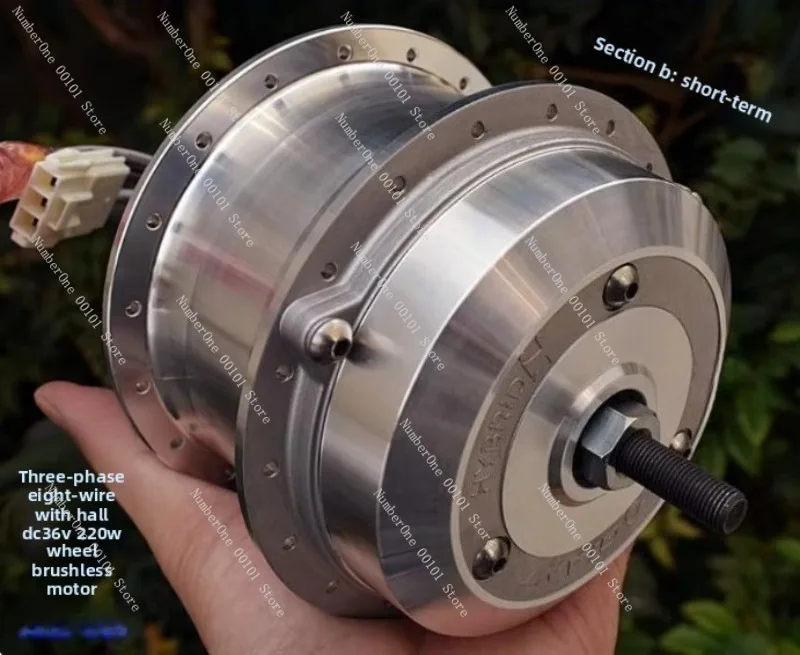 

Electric Assist, Mountain Bike, Brushless Wheel Motor, One-way Clutch, Gear Reduction