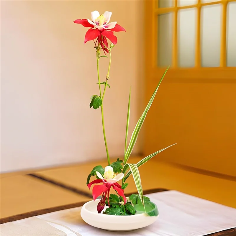 

T99C-Japanese Ikebana Vase & Flower Frog Kit Floral Art 5.35Inch White Bowl Pot With 1.57Inch Kenzan For Flower Arrangement