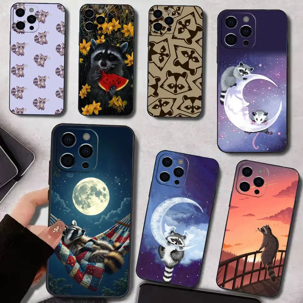 

C-Canvas R-Raccoons Cute Phone Case For iPhone 17,16,15,14,13,12,11 Plus,Pro Max,XS,Soft Silicone Black Cover