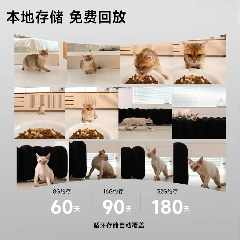 Domestic cat and dog regular and quantitative self-feeder