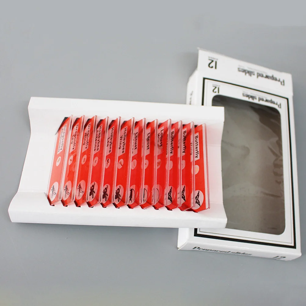 

12Pcs Microscope Children's Plastic Biological Slides Marked Specimens Educational Sample Insect Classification
