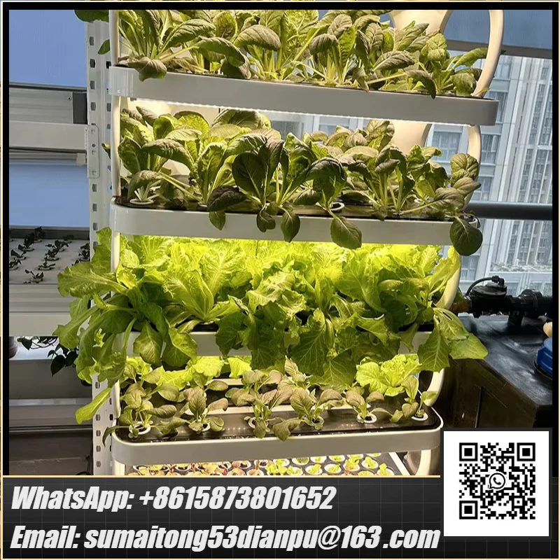 Intelligent Fully Automatic Vertical Garden Farming Vegetable Hydroponic Cabinet Growing System Kit Pump Small Multilayer