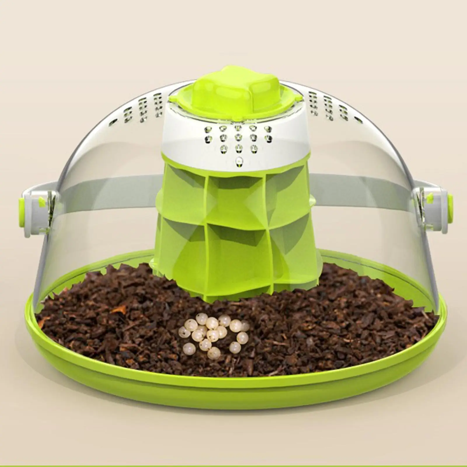Snails Feeding Box Snails Habitat Kid Learning Toy Box Breeding Tank Reptile Terrarium for Spiders Small Reptile Turtles