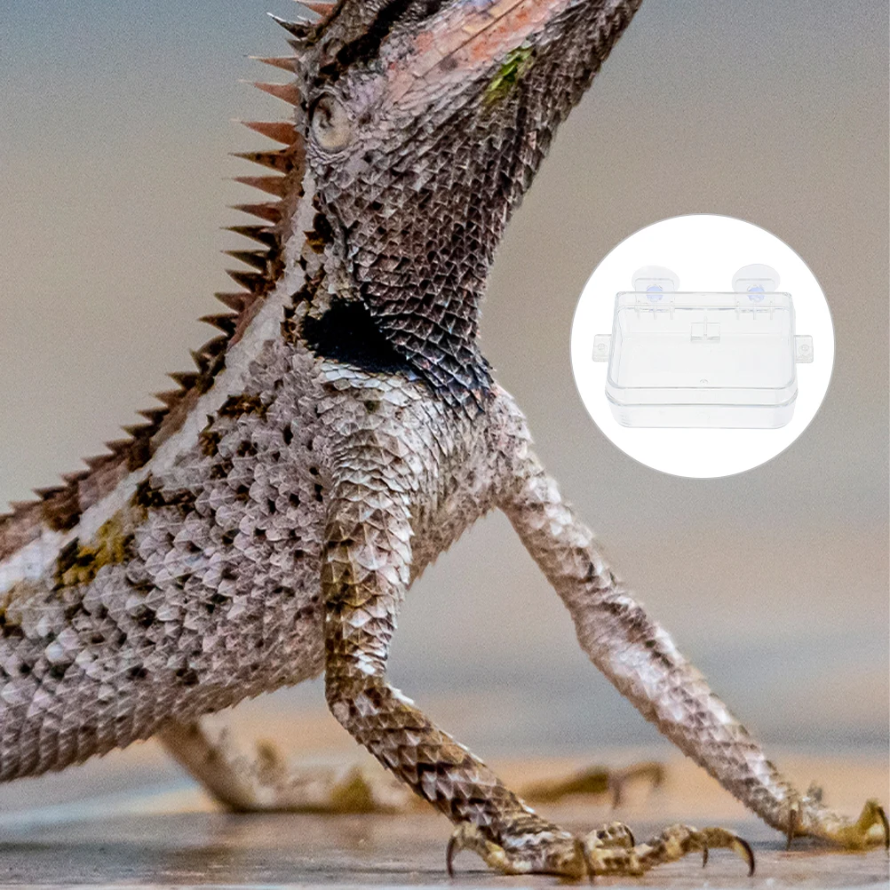 

Anti-escape Water Basin Bearded Dragon Toys Frog Feeding Bowl Suction Glass Gecko