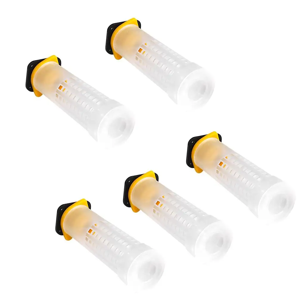 Beekeeping Roller Cage Plastic Queen Catcher Kit Cell Cup Fixtures Beekeeper Tool for Queen Bee Breeding Box