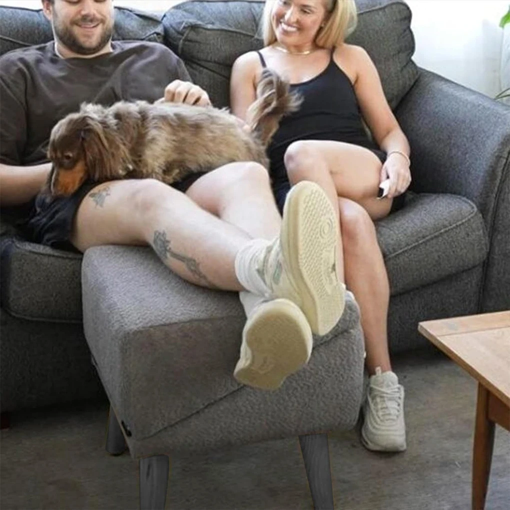 Thumbnail 2 - #13 Trending Puppy Ramps Right Now