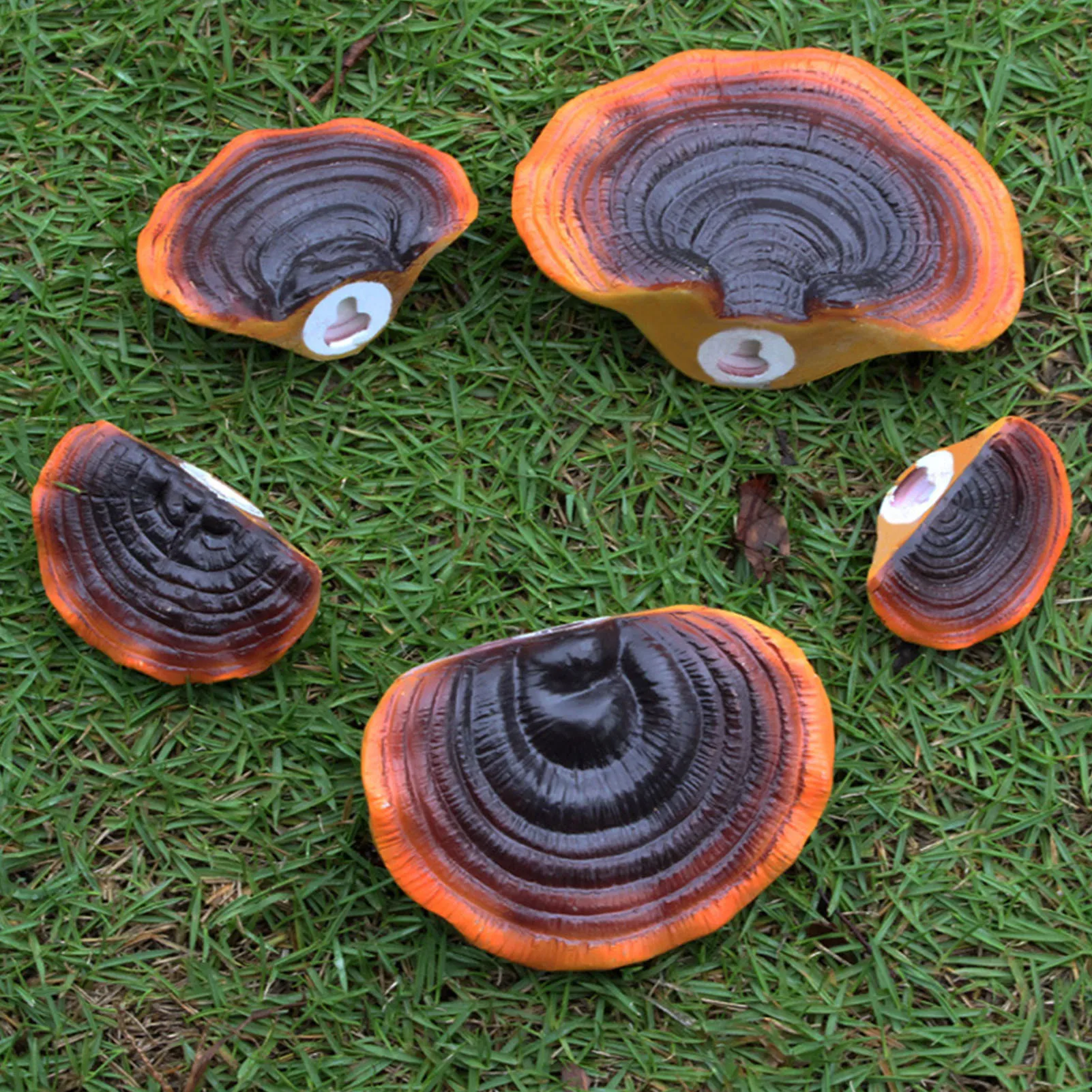 

Simulation Mushroom Shelf Decoration Set Resin Artificial Mini Reishi Mushroom Wall Shelves For Cottage Yard Outdoor