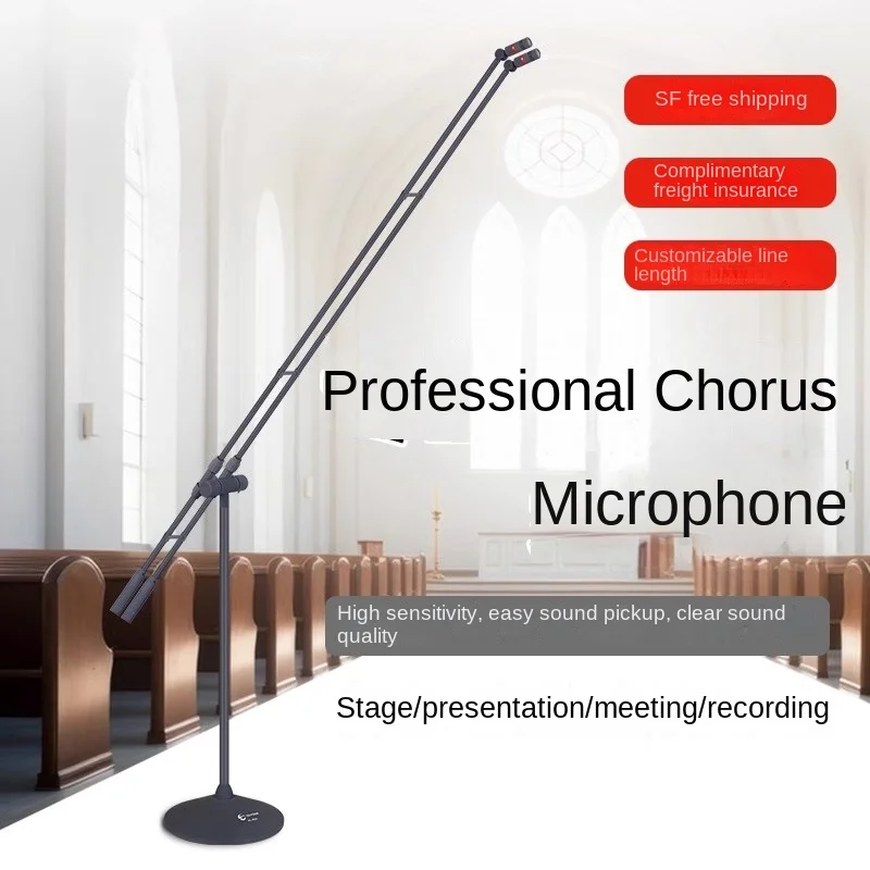 Large-scale Choir, Upright Dual-pole Speech Microphone, Theater Vocal Condenser Microphone, Auditorium Stage Wired Microphone