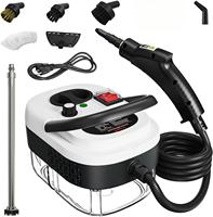STLF WJZ Portable 2500W High Temperature Steam Cleaner Machine with Brush Heads Electric for Cars Households Hotels 220V US Plug