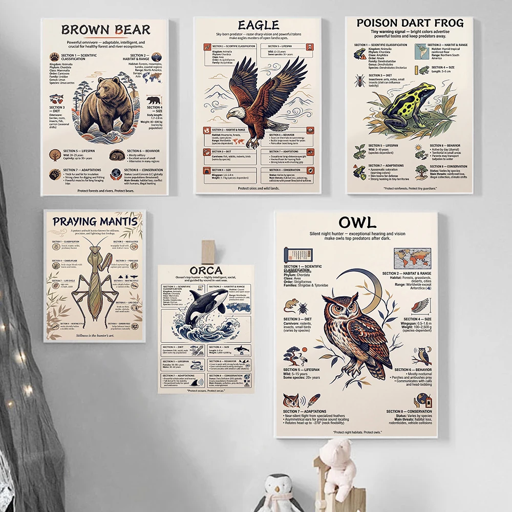 Educational Animal Coastal Nature Poster Jellyfish Hawk Cheetah Infographic Prints Canvas Painting Wall Pictures Home Room Decor