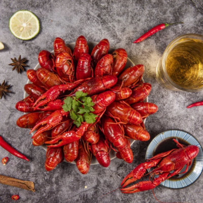 

RC Car FZD Simulation Light Controller 12 LED System Kit for 1/10 1/8 Truck Drift TAMIYA CC01 4WD Axial SCX10