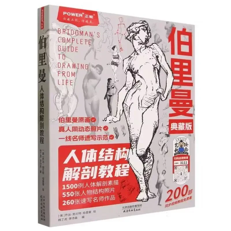 Buriman's Human Body Structure Tutorial: Art Mastery Collection Sketches, Basic Drawing Techniques, and Dynamic Anatomy Guide
