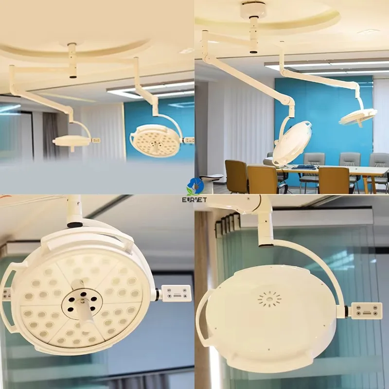 Medical Operating Room Led Lamp Shadowless Surgical Led Light Ceiling Mounted Double Surgery Light for Animal Care