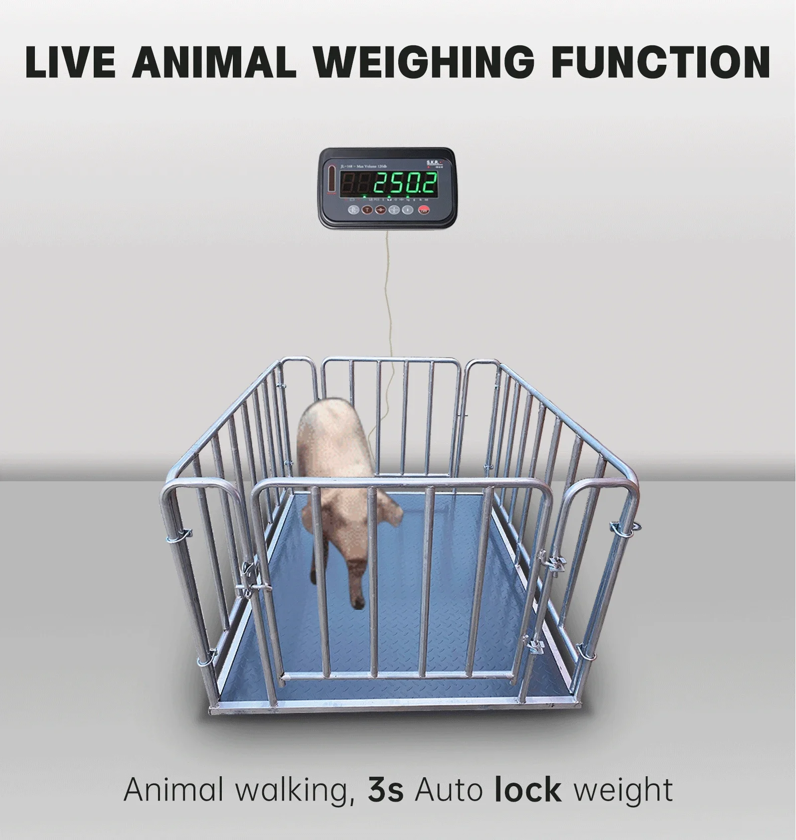 وحدة تحكم 2 طن مقياس الوزن الرقمي مؤشر التوازن الماشية الماشية وزن الماشية #6