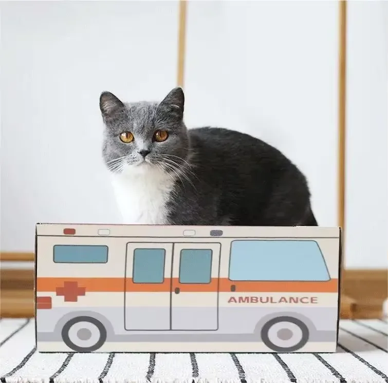 

Portable Cat Travel Bed Foldable Scratcher House Cozy Cave Design Warm Nest Eco-Friendly Cardboard Print Indoor Adventures