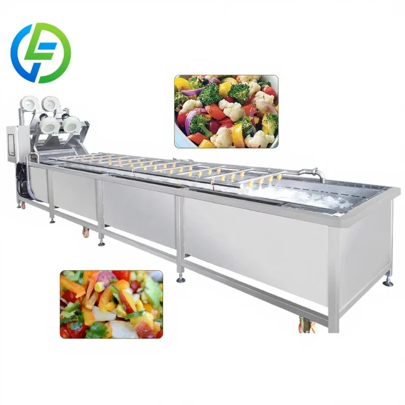 Customized Baby Food Fruit Washer Elevator Salad or Vegetable Washing and Cleaning Machine with Ozone