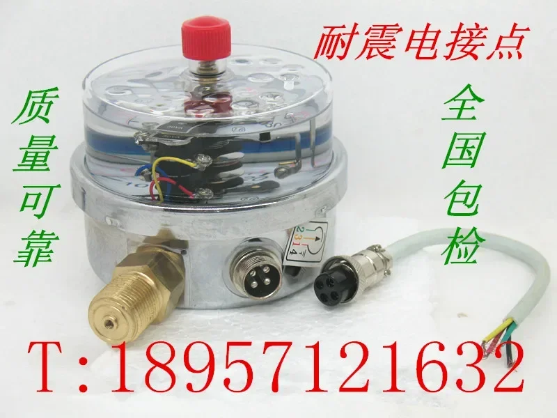 Wuxi Seismic Gauge YNXC100 Magnetic Assisted Seismic Contact Pressure Gauge