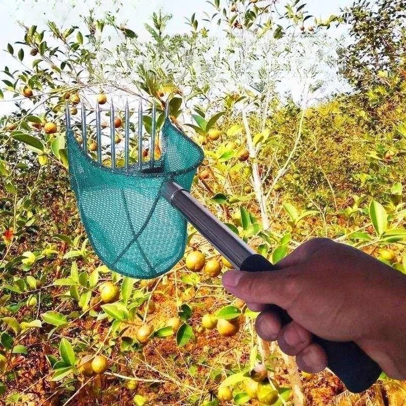 Telescopic High Reach Fruit Picker, Garden Harvest Tool for Tea Seeds, Hawthorn & Walnut