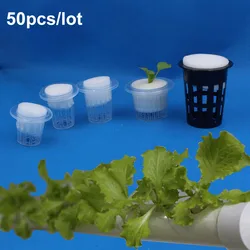 50 sztuk hydroponicznych Soilless Mesh roślin veg rosną przedszkole puchar garnki gąbka taca kosz z siatki Aeroponic Veg sadzarka klon kolonizacja