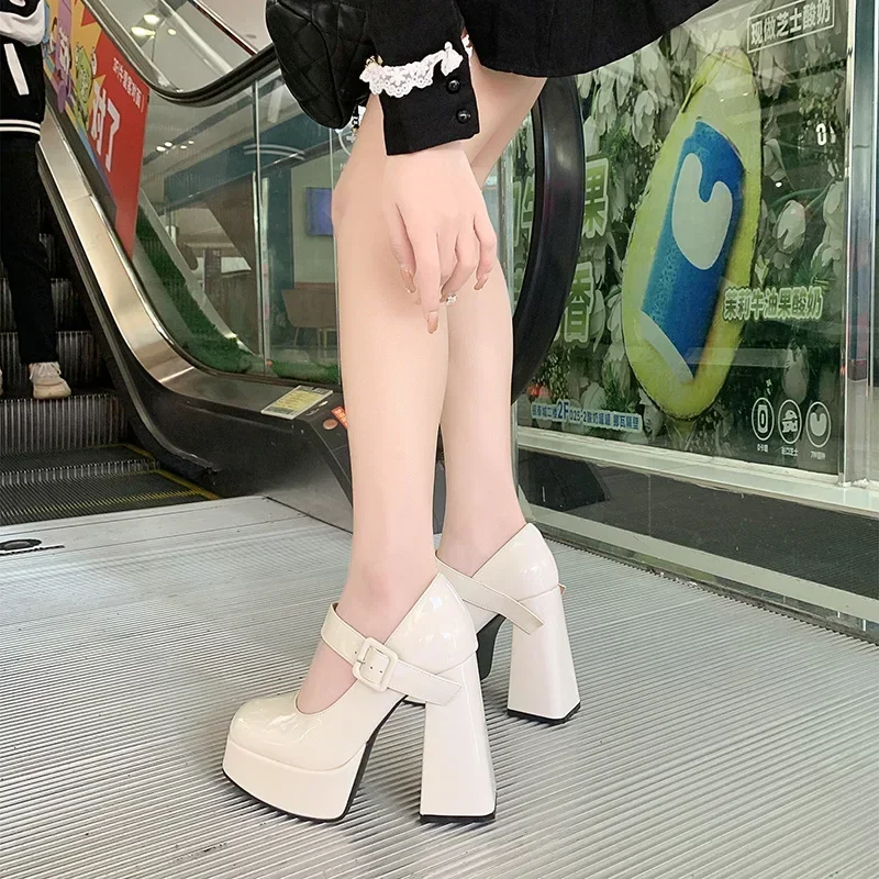 Woman High Heels Shoes 12cm French Mary Jane Shoes Thick Heel 2025 New Waterproof Platform Super Single Shoes Sandalias De Tacón