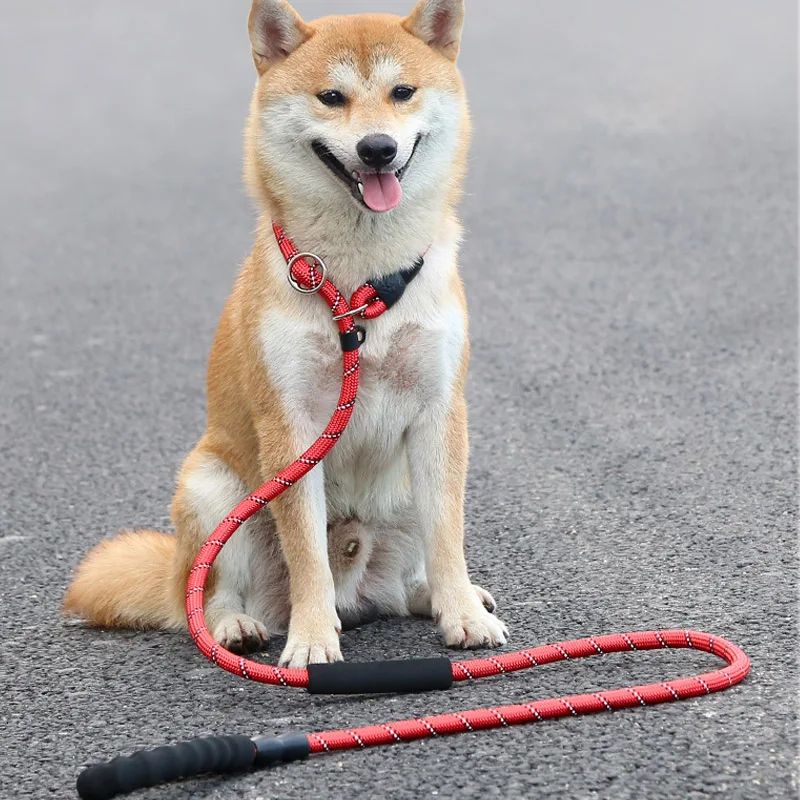 180cm Reflective Strong Dog Leash Outdoor Walk Padded Handle Adjustable Loop Collar Pet Leashes for Puppy Medium Large Big Dogs