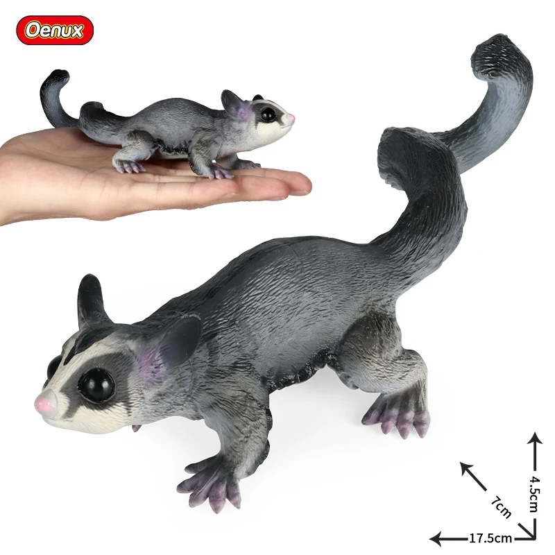 Classic Australian Wild Animals Simulation Kangaroos Koala Wombat Model Action Figure Figurine Educational Toys For Kids