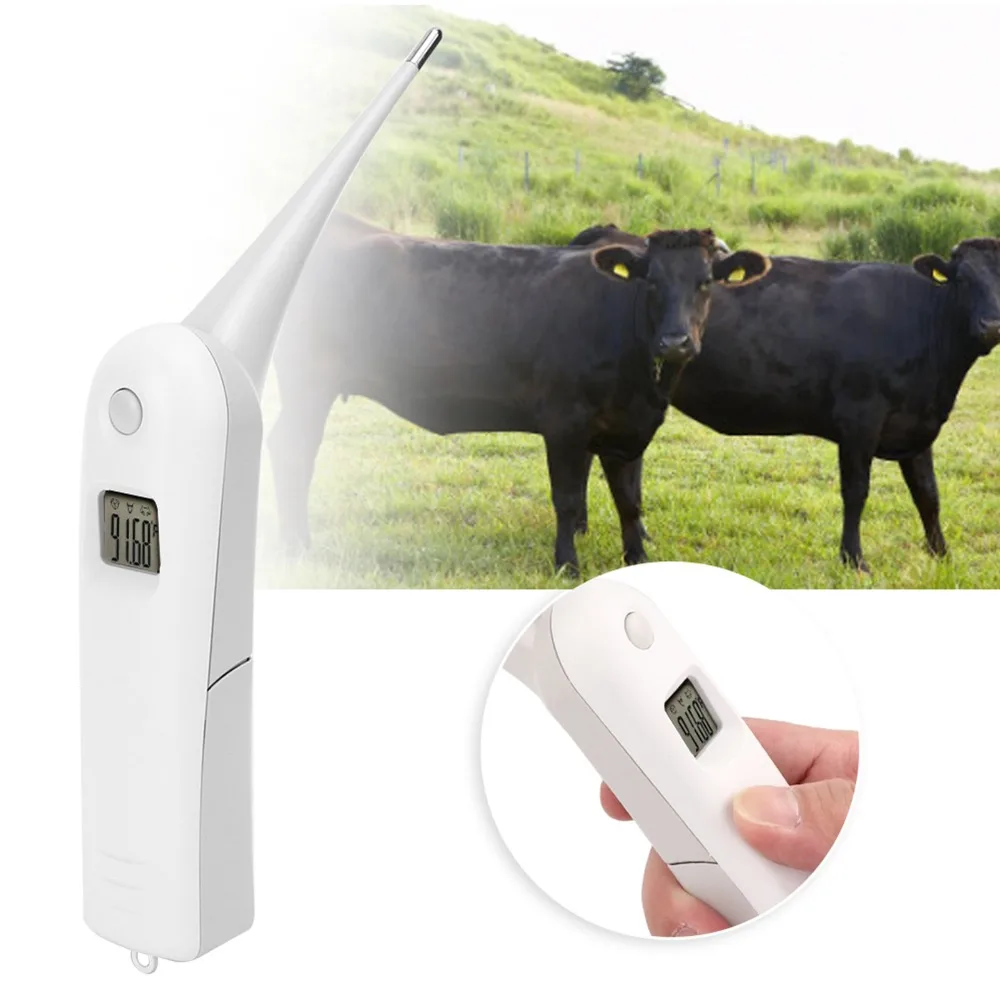 ABS Veterinary Thermometer White Portable Electronic Thermometer LCD Display Screen Fast Reading Farm Thermometer Livestock
