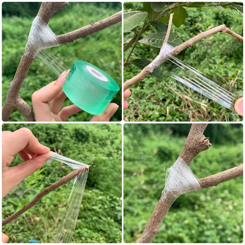 Self-adhesive PE Grafting Tape Film for Fruit Tree Grafting Plant Seedlings with Stretchable Width Garden Gardening Accessories