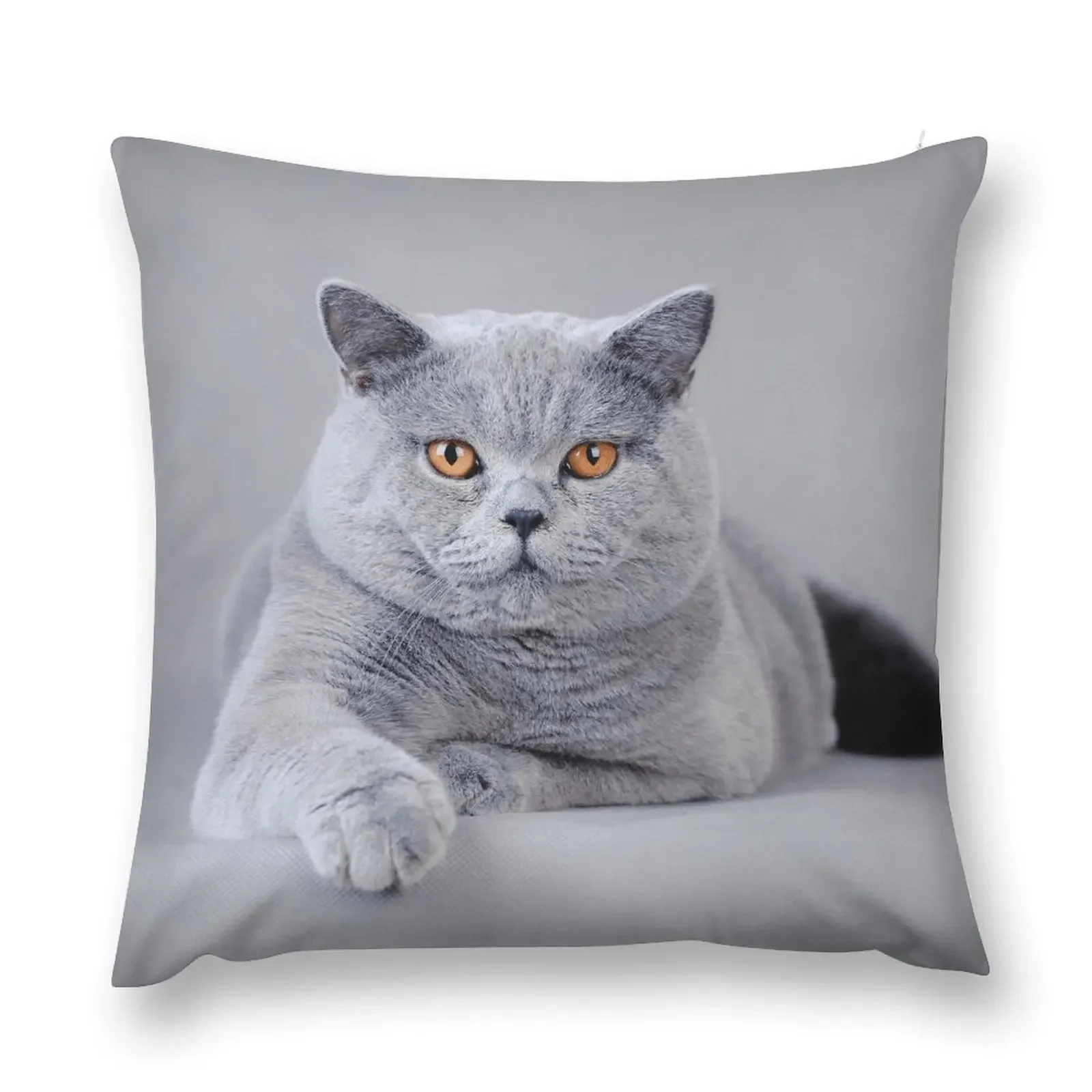 British shorthair cat portrait Throw Pillow Sofa Cushions Decorative Cushion Cover anime girl pillow