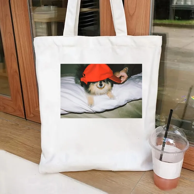 Taehyung and Jimin Yeontan Tote Bag Women K-pop Taehyung Album Tote Bag Yeontan Bootleg Tote Large Capacity Casual Shoulder Bag