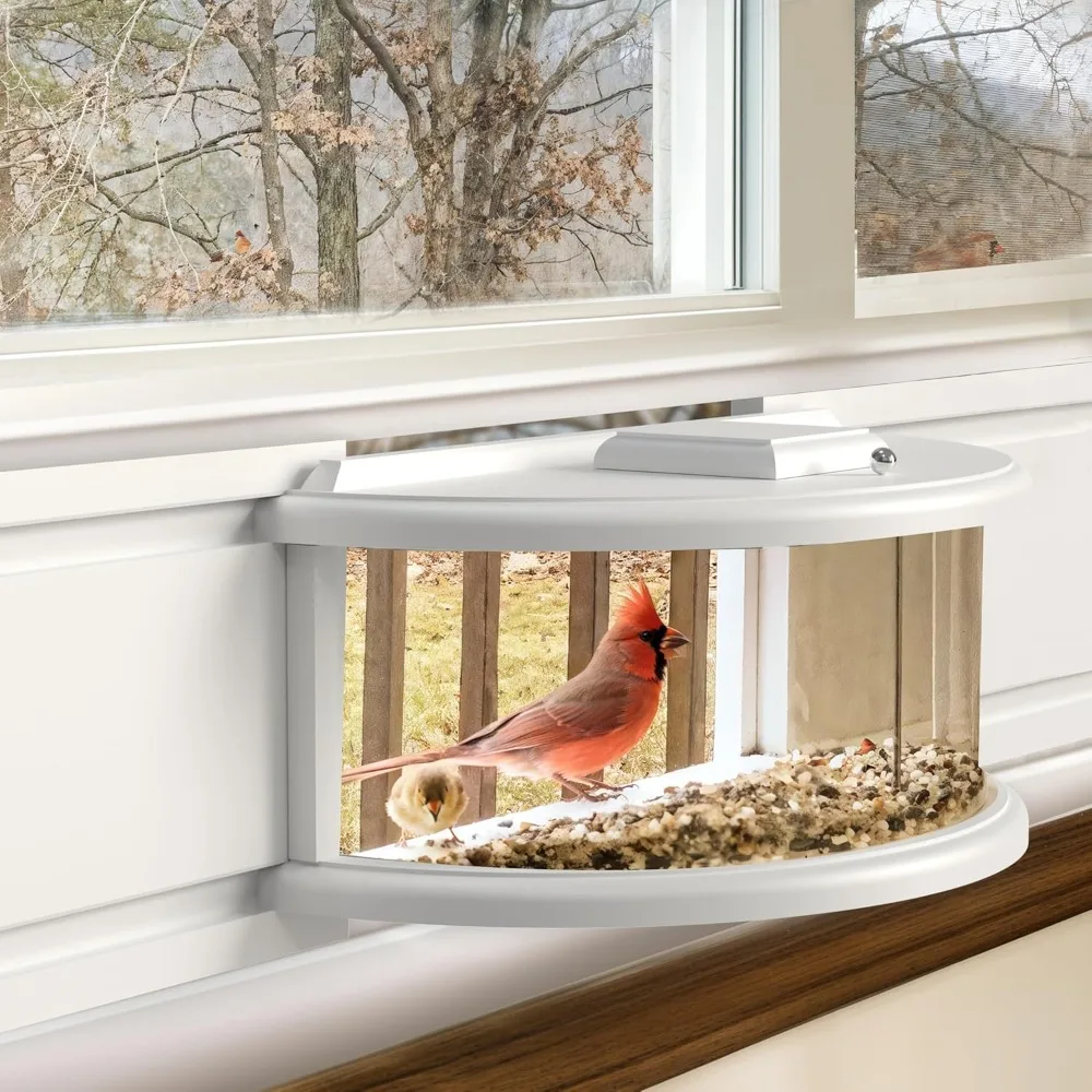 Bird Feeder Inside House, Spraying Without Irritating Odor, Perfect for Viewing Wild Birds & Squirrels, Ideal for Cats,