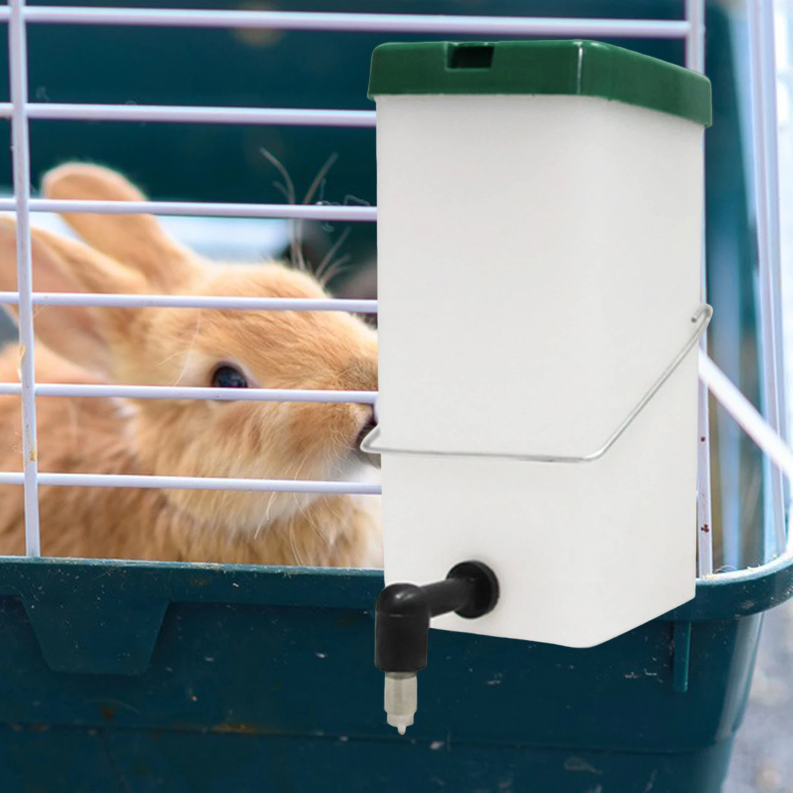 Automatic Drinker Water Feeder Dispenser Drinking Bowl for Rabbit Chinchilla