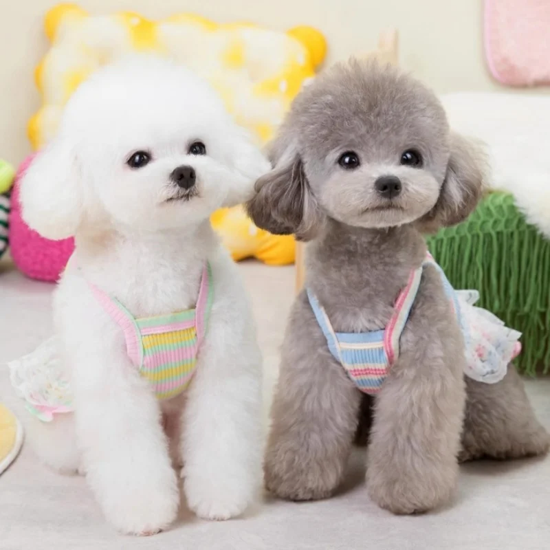 Vestido verano rayas para perros pequeños y gatos – Cute y práctico