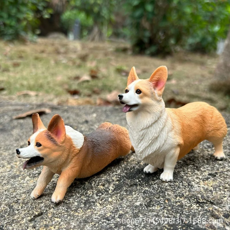 Cute Miniature Animal Model of Solid Welsh Corgi Dog with Short Legs, Lifelike Corgi Figurine for Home Decoration