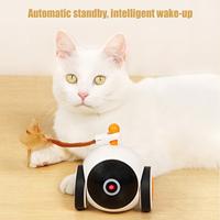Interactive Cat Toy Ball Cat Enrichment Toys Rolling Smart Ball Motion Activated Automatic Indoor Games With Tail Pet Supplies