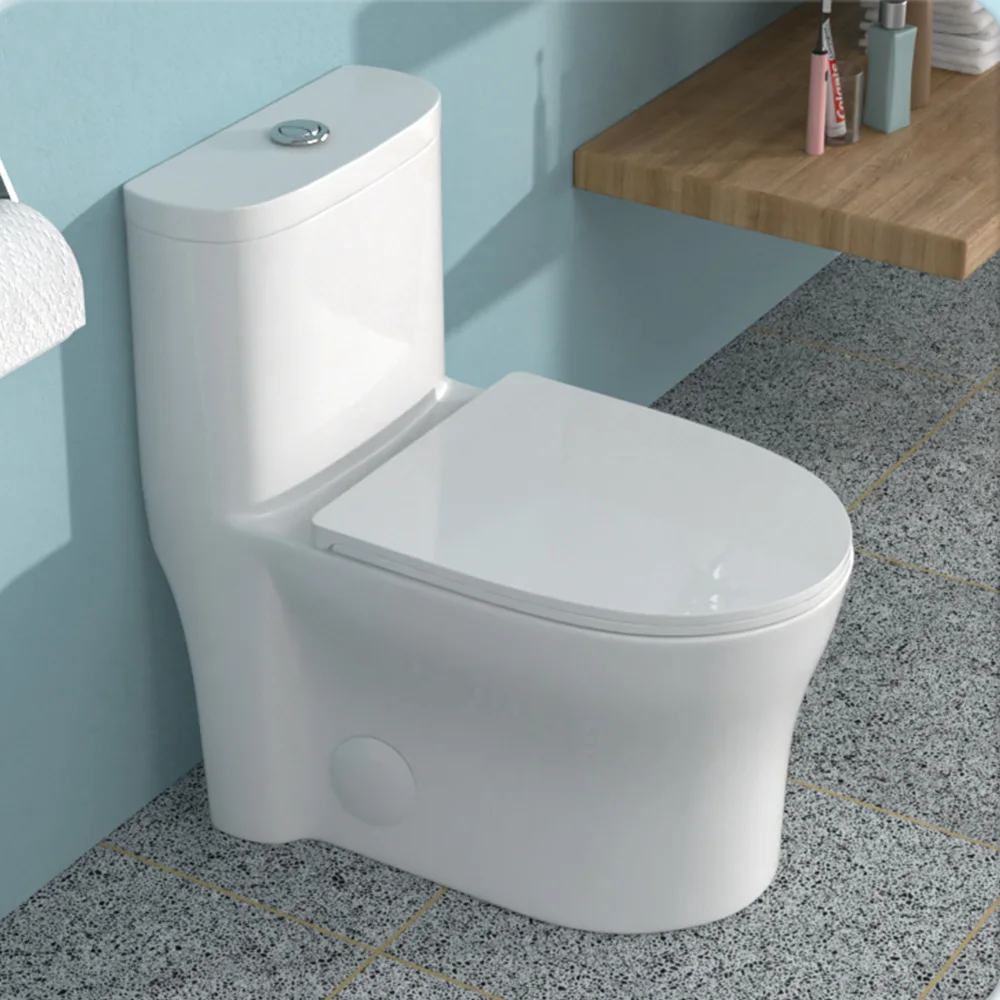 Ceramic One Piece Toilet for Bathroom, 12-inch Rough-In, 1.22/1.6 GPF, Dual Flush with Soft Clsoing Seat, Powerful Dual Flush MAP 800g