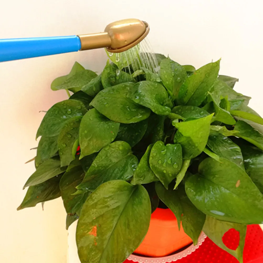 

Прочная пластиковая лейка для дома с длинным носиком, садовый инструмент для полива в помещении и на улице, для посадки растений