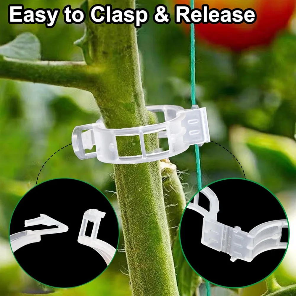 Fixing Vine Tomato Stem Grafting Vegetable Plants Orchard and Garden Tools Plant Clips Supports Reusable Plastic Connects